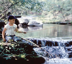 fishing in Shenandoah